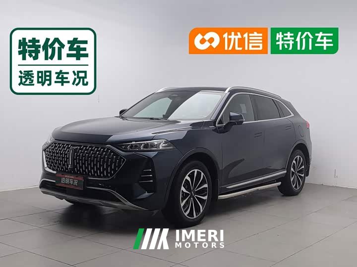 Great Wall Wei Brand Mocha 2.0T Two-Wheel Drive Rich Edition - ავტომობილი ჩინეთიდან