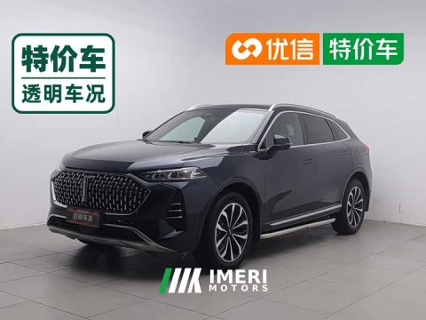 2021 Great Wall Wei Brand Mocha 2.0T Two-Wheel Drive Rich Edition - ავტომობილი ჩინეთიდან