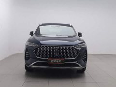 Great Wall Wei Brand Mocha 2.0T Two-Wheel Drive Rich Edition - ფოტო 3