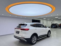Haval H6 2021 National Trend 1.5T Automatic Champion Edition - ფოტო 6