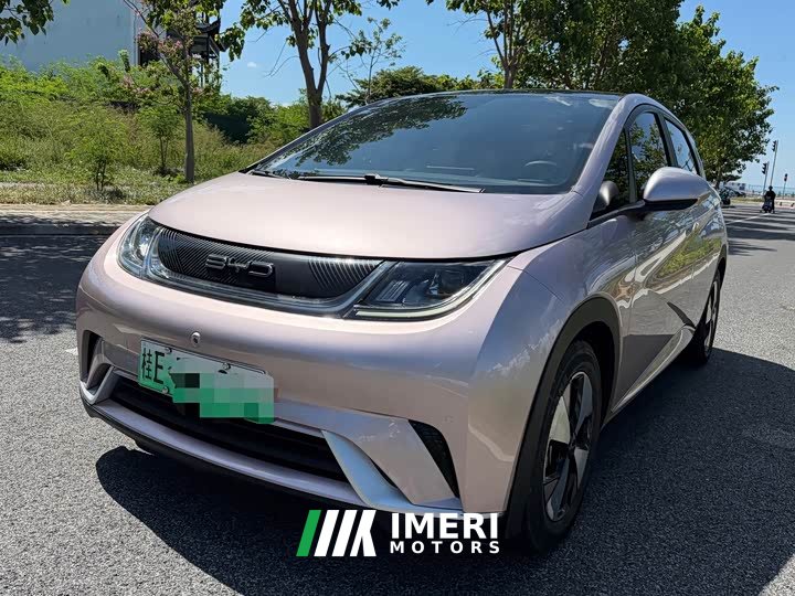 BYD Dolphin 420km Fashion Edition - ავტომობილი ჩინეთიდან