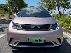BYD Dolphin 420km Fashion Edition - ფოტო 2