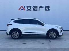 Haval Chitu Jingxiang Edition 1.5T Purple Copper Rabbit - ფოტო 7