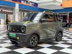 Geely Panda 200km Panda Knight - ფოტო 1