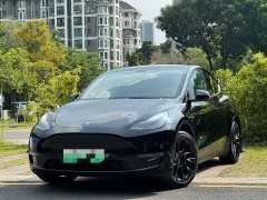 Tesla Model Y 2021 Standard Range RWD - ფოტო 1