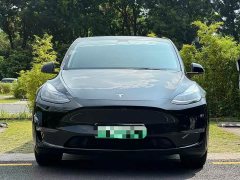Tesla Model Y 2021 Standard Range RWD - ფოტო 2
