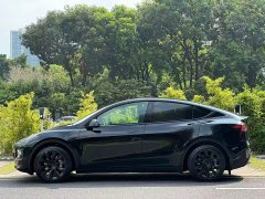 Tesla Model Y 2021 Standard Range RWD - ფოტო 4