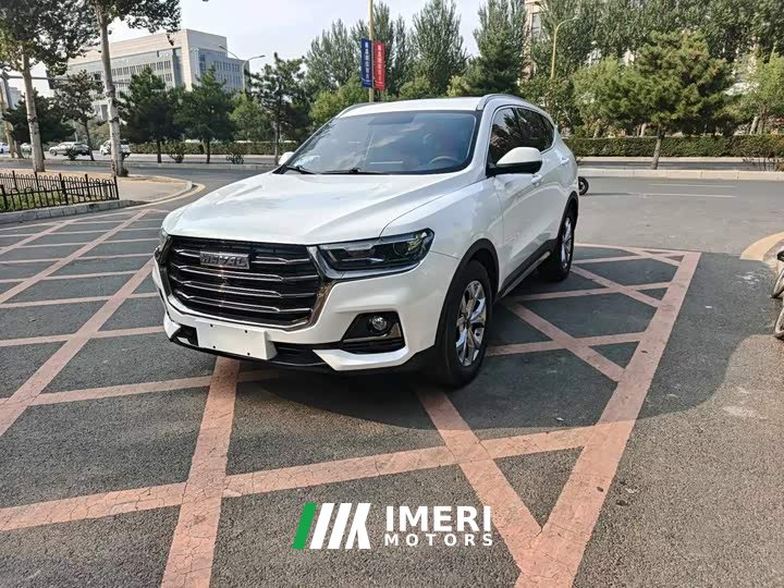 Haval H6 2021 1.5T Automatic Champion Edition - ავტომობილი ჩინეთიდან