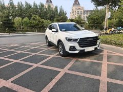 Haval H6 2021 1.5T Automatic Champion Edition - ფოტო 3