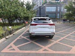 Haval H6 2021 1.5T Automatic Champion Edition - ფოტო 5