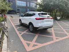 Haval H6 2021 1.5T Automatic Champion Edition - ფოტო 6