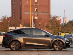Tesla Model Y Rear-Wheel Drive - ფოტო 4