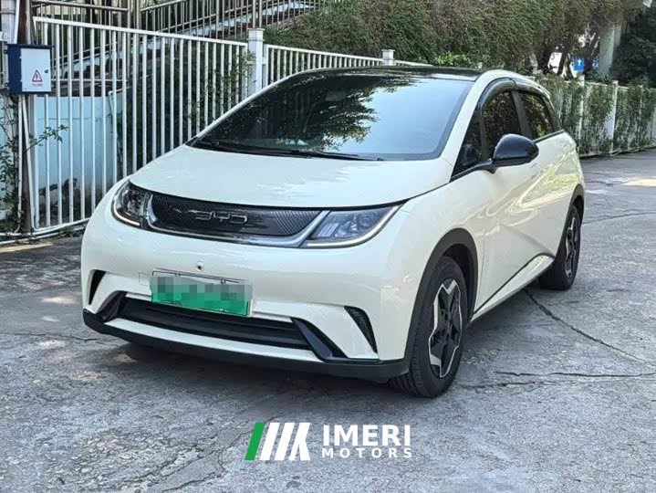 BYD Dolphin 405km Fashion Edition - ავტომობილი ჩინეთიდან
