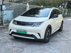 BYD Dolphin 405km Fashion Edition - ფოტო 1
