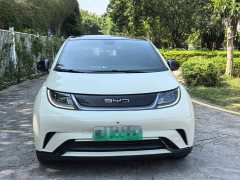 BYD Dolphin 405km Fashion Edition - ფოტო 2