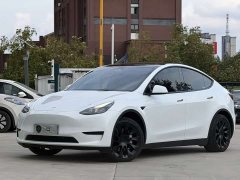 Tesla Model Y 2022 Facelift Rear-Wheel Drive - ფოტო 1