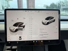 Tesla Model Y 2022 Facelift Rear-Wheel Drive - ფოტო 16