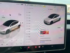 Tesla Model Y Long Range All-Wheel Drive Launch Edition - ფოტო 9
