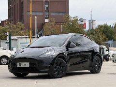 Tesla Model Y Long Range All-Wheel Drive - ფოტო 1