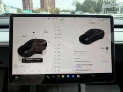 Tesla Model Y Long Range All-Wheel Drive - ფოტო 13