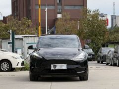 Tesla Model Y Long Range All-Wheel Drive - ფოტო 2