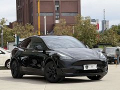 Tesla Model Y Long Range All-Wheel Drive - ფოტო 3