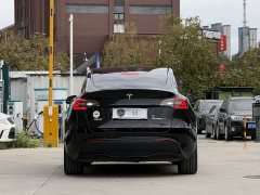 Tesla Model Y Long Range All-Wheel Drive - ფოტო 5