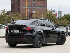 Tesla Model Y Long Range All-Wheel Drive - ფოტო 6