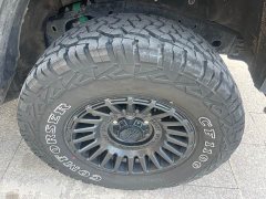 Tank 300 Off-Road Edition 2.0T Conqueror - ფოტო 14
