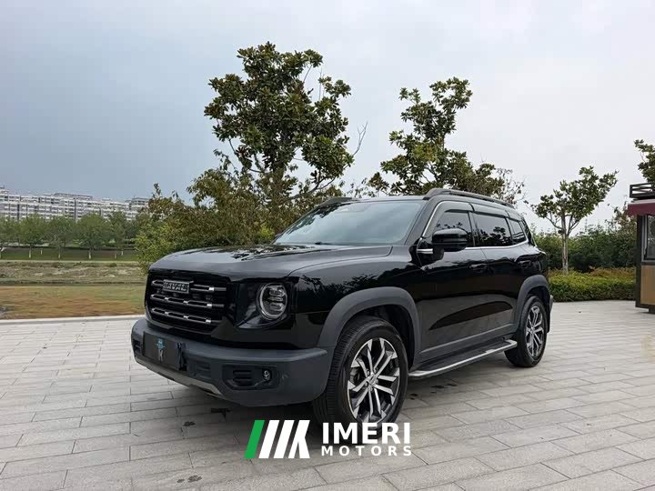 Great Wall Dachshund 1.5T DCT Two-Wheel Drive Border Collie Edition - ავტომობილი ჩინეთიდან