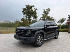 Great Wall Dachshund 1.5T DCT Two-Wheel Drive Border Collie Edition - ფოტო 1