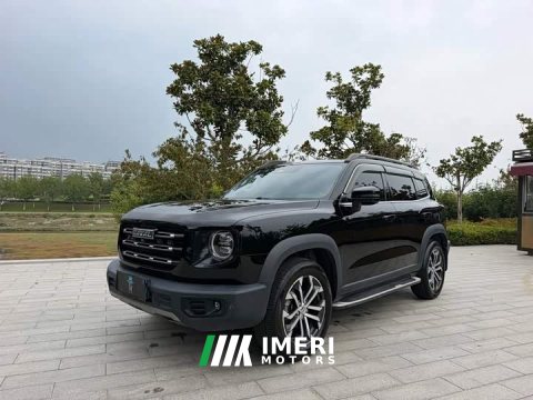 2022 Great Wall Dachshund 1.5T DCT Two-Wheel Drive Border Collie Edition - ავტომობილი ჩინეთიდან