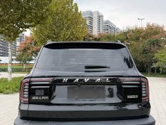 Great Wall Dachshund 1.5T DCT Two-Wheel Drive Border Collie Edition - ფოტო 3