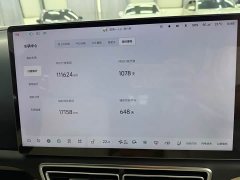 Li Auto L8 Max - ფოტო 7