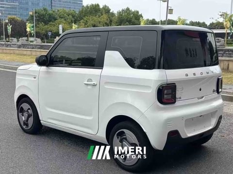 2023 Geely Panda mini 200km Little Yellow Duck Limited Edition Lucky Ya - ავტომობილი ჩინეთიდან
