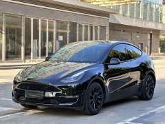 Tesla Model Y Long Range All-Wheel Drive - ფოტო 1
