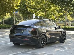 Tesla Model Y Long Range All-Wheel Drive - ფოტო 11