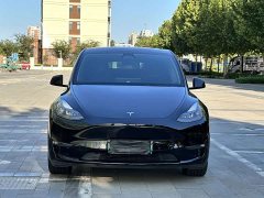 Tesla Model Y Long Range All-Wheel Drive - ფოტო 2