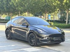Tesla Model Y Long Range All-Wheel Drive - ფოტო 3