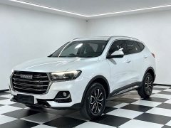 Haval H6 2021 National Trend Edition 1.5T Automatic Urban Version - ფოტო 3