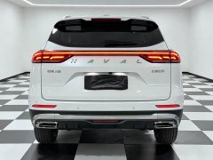 Haval H6 2021 National Trend Edition 1.5T Automatic Urban Version - ფოტო 5