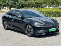 BYD Dolphin 550km Standard Range RWD Luxury - ფოტო 3