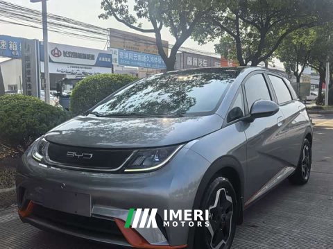 2022 BYD Dolphin 405km Fashion Edition - ავტომობილი ჩინეთიდან