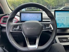 BYD Destroyer 05 DM-i 55KM Luxury - ფოტო 15