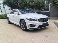 Geely Xingrui 2.0T Diesel Luxury - ფოტო 2