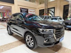 Haval H6 2021 National Trend 1.5T Automatic Champion Edition - ფოტო 2