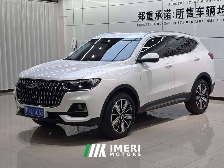 Haval H6 2021 National Trend 1.5T Automatic Champion Edition - ავტომობილი ჩინეთიდან