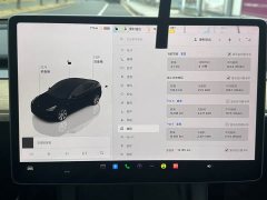 Tesla Model Y 2022 Facelift Rear-Wheel Drive - ფოტო 13