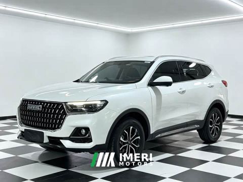 2023 Haval H6 National Trend Edition 1.5T Automatic Urban Version