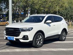 Haval H6 2021 National Trend 1.5T Automatic Champion Edition - ფოტო 1